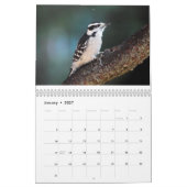 Calendrier Mural Oiseaux 2017 (Jan 2027)