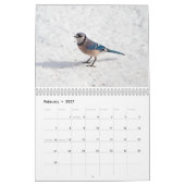 Calendrier Mural Oiseaux 2017 (Feb 2027)