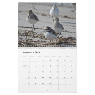 Calendrier Mural Oiseaux aquatiques