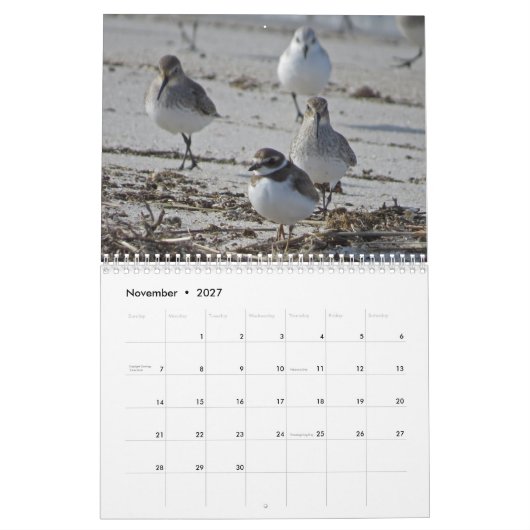 Calendrier Mural Oiseaux aquatiques (Nov 2027)