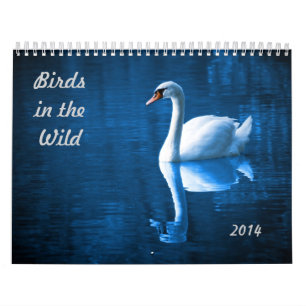 Calendrier Mural Oiseaux dans le sauvage