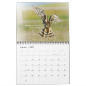 Calendrier Mural Oiseaux de Californie (Jan 2027)