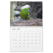 Calendrier Mural Oiseaux de la Nouvelle Zélande (Mar 2027)