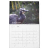 Calendrier Mural Oiseaux de la Nouvelle Zélande (Jan 2027)