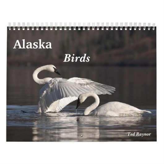 Calendrier Mural Oiseaux de l'Alaska (Protection)