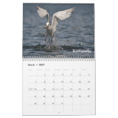 Calendrier Mural Oiseaux de l'Alaska (Mar 2027)