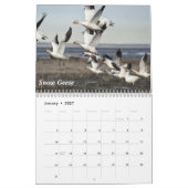 Calendrier Mural Oiseaux de l'Alaska (Jan 2027)
