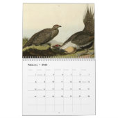 Calendrier Mural Oiseaux de l'Amérique (Feb 2026)