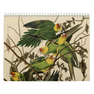Calendrier Mural Oiseaux de l'Amérique