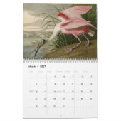 Calendrier Mural Oiseaux de l'Amérique (Mar 2027)