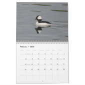 Calendrier Mural Oiseaux de l'Amérique du Nord (Feb 2026)