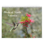 Calendrier Mural Oiseaux de l'Amérique du Nord (Protection)