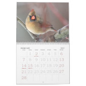 Calendrier Mural Oiseaux de l'hiver (Feb 2027)