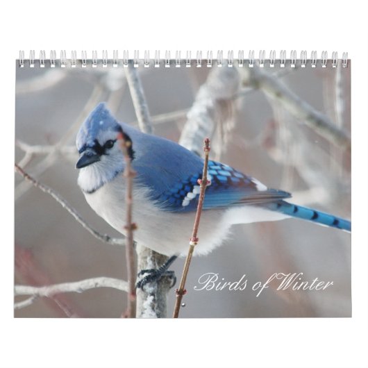 Calendrier Mural Oiseaux de l'hiver (Protection)