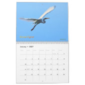 Calendrier Mural Oiseaux d'eau australiens (Jan 2027)