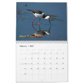 Calendrier Mural Oiseaux d'eau australiens (Feb 2027)