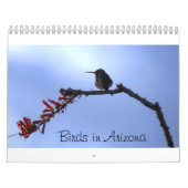 Calendrier Mural Oiseaux en Arizona (Protection)
