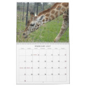 Calendrier Mural Oiseaux et Animaux Incroyables 2012 (Feb 2027)