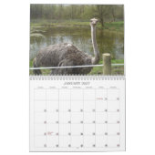 Calendrier Mural Oiseaux et Animaux Incroyables 2012 (Jan 2027)