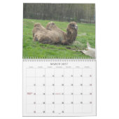 Calendrier Mural Oiseaux et Animaux Incroyables 2012 (Mar 2027)