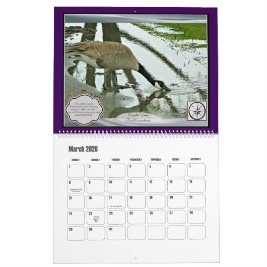 Calendrier Mural Oiseaux et eau (grands) (Mar 2026)