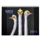 CALENDRIER MURAL OISEAUX, UN CERTAIN ÉTRANGE, 2011 (Protection)