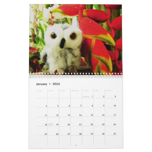 Calendrier Mural Ophélie et amis 2009 (Jan 2026)