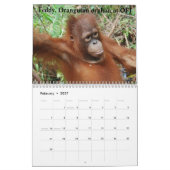 Calendrier Mural Orangs-outans (Feb 2027)