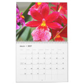 Calendrier Mural Orchidées (Mar 2027)