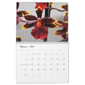 Calendrier Mural Orchidées (Feb 2027)