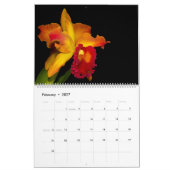 Calendrier Mural Orchidées par Orchidelique (Feb 2027)