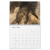 Calendrier Mural Orignaux de bébé (Jan 2027)