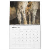 Calendrier Mural Orignaux de bébé (Feb 2027)