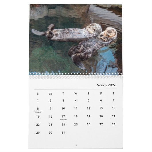 Calendrier mural Otter (Mar 2026)