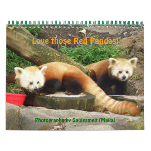 Calendrier Mural P8310607, Aimez ces Pandas Rouges !, ... -Personna