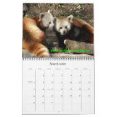 Calendrier Mural P8310607, Aimez ces Pandas Rouges !, ... -Personna (Mar 2026)