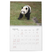 Calendrier Mural panda117, ours panda géants (Feb 2027)