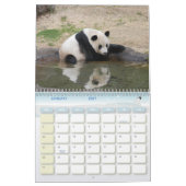 Calendrier Mural panda118, ours panda géants (Jan 2027)