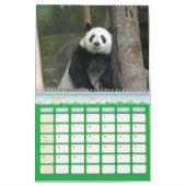 Calendrier Mural panda118, ours panda géants (Mar 2027)