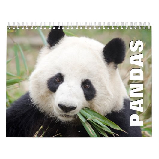 Calendrier mural Pandas (Protection)