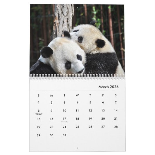 Calendrier mural Pandas (Mar 2026)
