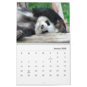 Calendrier mural Pandas (Jan 2026)