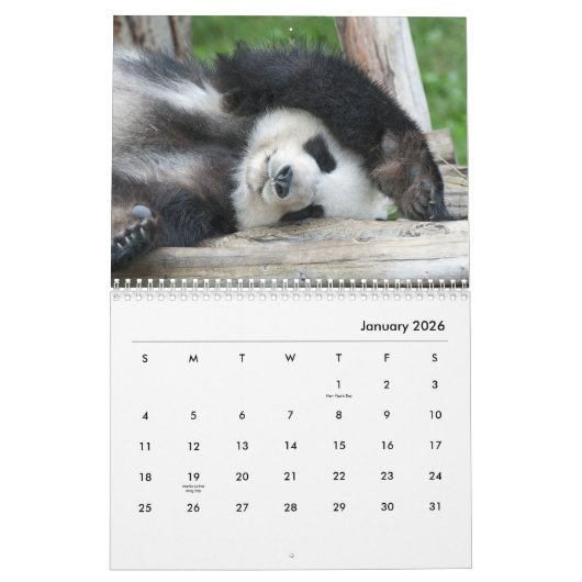 Calendrier mural Pandas (Jan 2026)