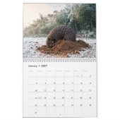 Calendrier mural Pangolins 2027 (Jan 2027)