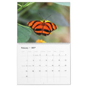 Calendrier Mural Papillons (Feb 2027)