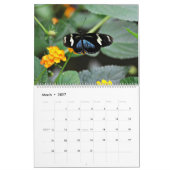 Calendrier Mural Papillons (Mar 2027)