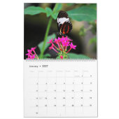 Calendrier Mural Papillons (Jan 2027)