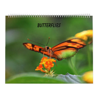 Calendrier Mural Papillons