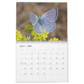 Calendrier Mural Papillons des montagnes rocheuses 2014 (Mar 2027)