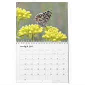 Calendrier Mural Papillons des montagnes rocheuses 2014 (Jan 2027)